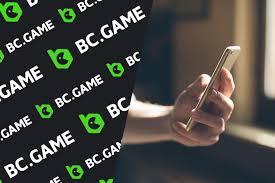 Exploring the BC.Game IN Hub A New Era of Online Gaming
