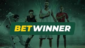 Explore BetWinner Casino and Sportsbook Your Ultimate Betting Destination