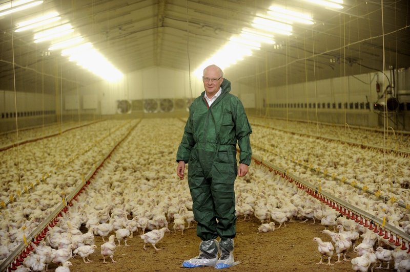 Chicken road deutschland in Germany