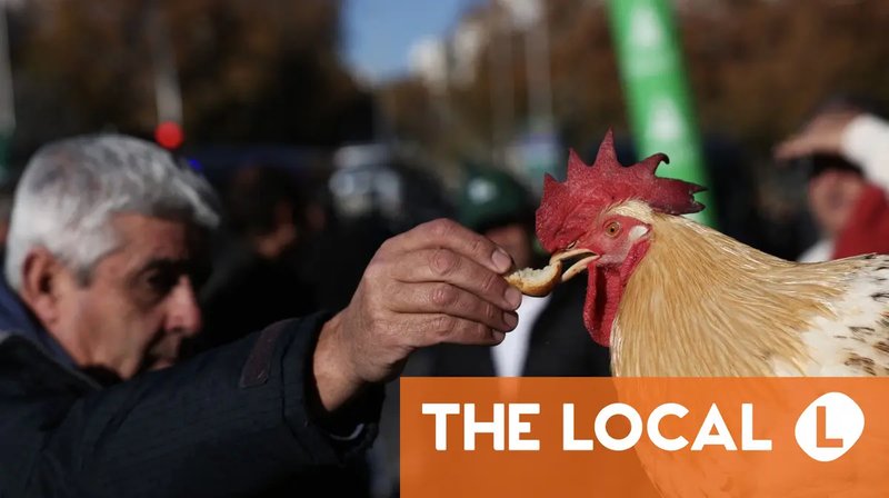 Best chicken road in Spain