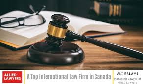 Understanding the Role and Importance of International Lawyers 1346988207
