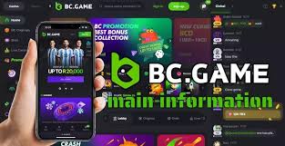 Unlocking Excitement BC.Game Promo Codes and Bonuses Explained